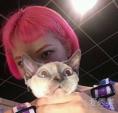 夏天短发适合什么颜色?如果你已经染了这15种发型,那你的发型就不是白色的了。