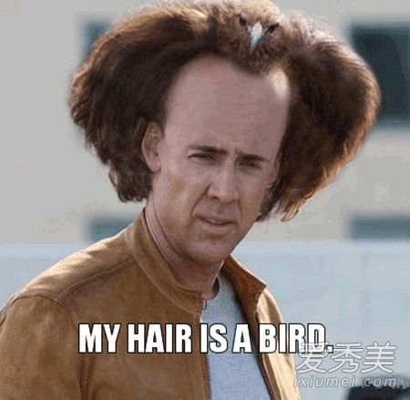 剪错了发型，变大了脸！圆脸和长脸的大发型，不能剪短。