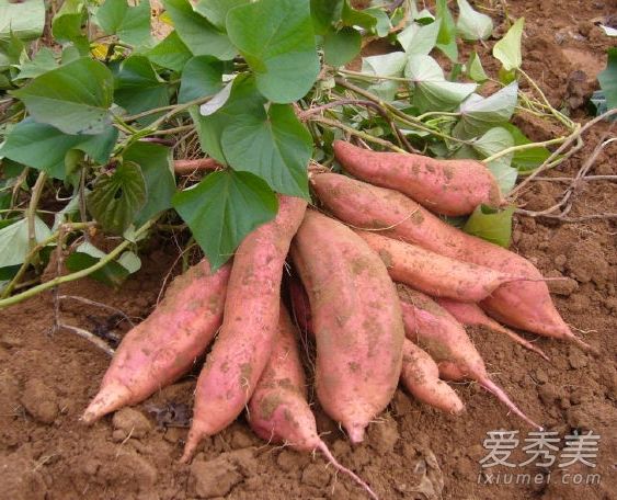 秋季,6款“美容法宝”胡椒红薯莲藕祛斑美白