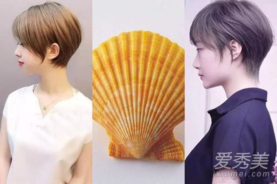 什么发型适合头发长到耳朵?个性贝壳头像推荐给你