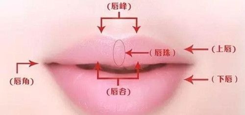 涂口红时不同的唇型看起来怎么样?