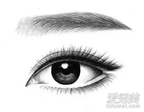 纹身后我可以喝酒吗?