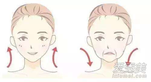 面部皮肤全面护理去皱配方