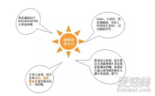 烟酰胺会在美白护肤品中生发吗