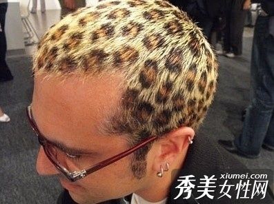 野豹纹再次攻击让你从头开始