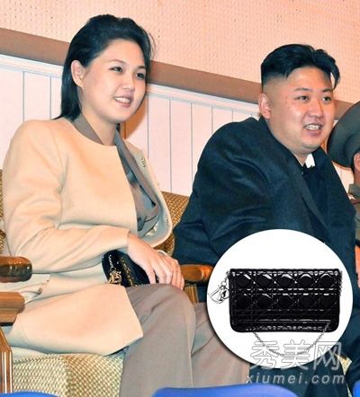 李·也很喜欢价值1万元的迪奥手袋多次亮相。