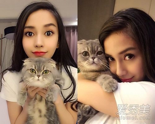 杨颖拥抱她,卖掉她可爱的小猫,竖起她的耳朵,让她变得美丽。