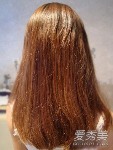 朝鲜凤尾蕨编辫的引种过程仍在进行中