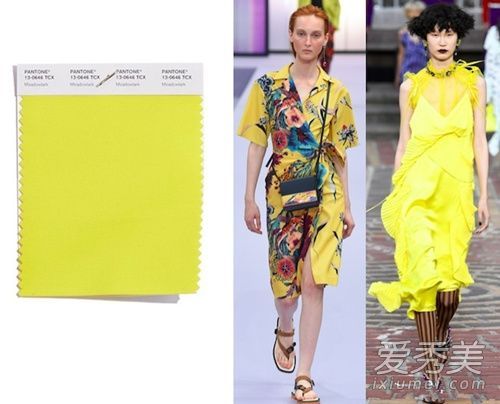 什么是草地雀黄?草地雀黄色如何搭配颜色