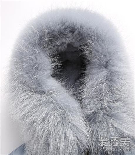 浣熊和兔毛有什么区别