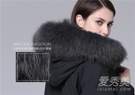 什么是浣熊毛?浣熊毛皮价格介绍