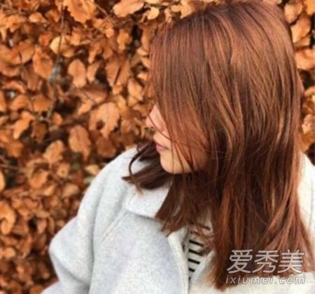 枫叶红受欢迎吗?来看看它是否适合你!