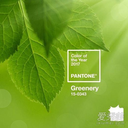 2017流行发色发布,绿草成功称霸!