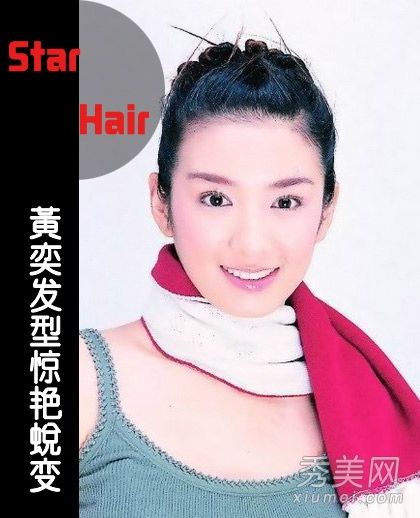 从乌龟到玉洁水晶发型