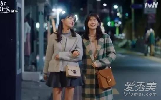 这是我一生中第一次有一个女人有一个棕色的肩包。它是什么牌子的？