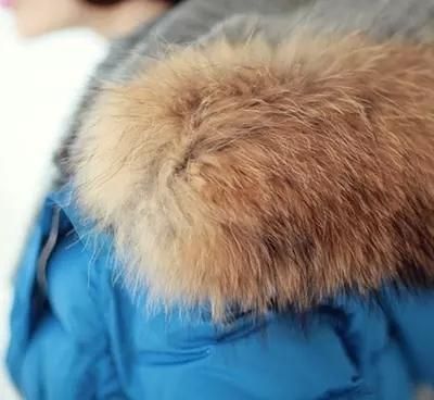 浣熊毛是什么？