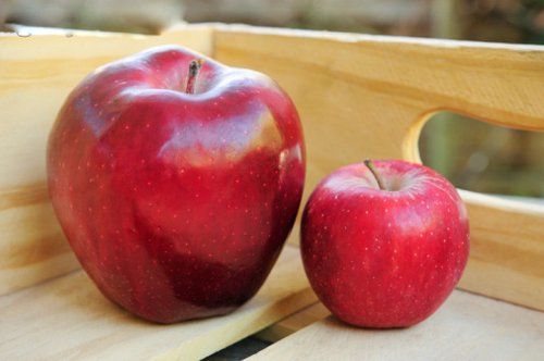 8种美白水果吃白皮肤