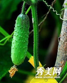 自制黄瓜面膜美白保湿