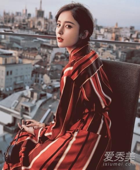 桑树是什么牌子的?桑树是奢侈品吗