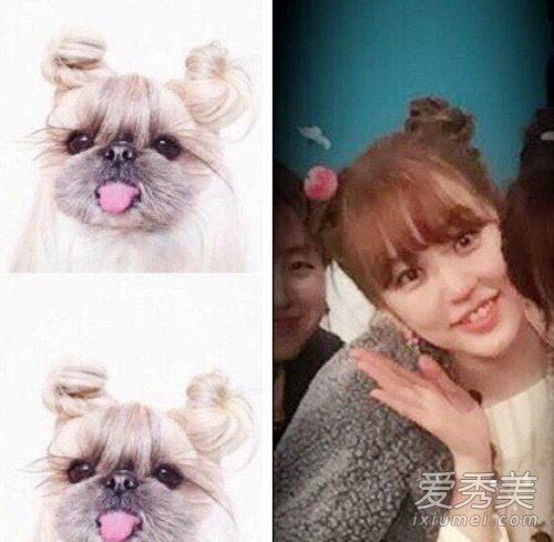 这位女神还穿着她的新衣服,尹恩惠,当她错过比赛时与她可爱的狗相撞。