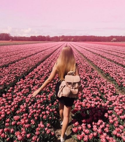 伊斯特帕克是什么品牌?伊斯特帕克是几年级?