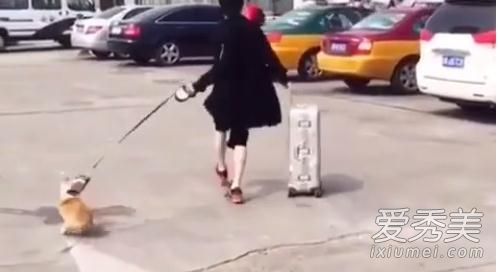 里莫娃手提箱多少钱?rimova行李箱价格