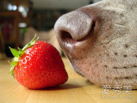 鼻子毛孔大有黑头怎么办？这些是踢掉草莓鼻子的一些技巧。
