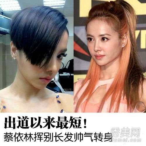 戚薇、蔡依林和张欣怡等女演员的发型越来越短