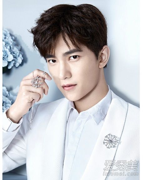 杨阳的白金项链多少钱?杨阳的蒲公英白金多少钱