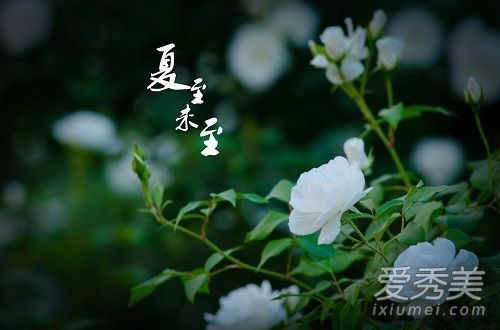 夏至期间没有到傅小司的鞋子是什么牌子的？夏至期间没有到达傅小司的那个白色球