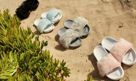 ugg小猫金拖鞋有多少种颜色？