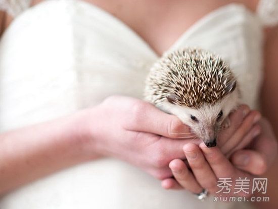 2014新新娘发型设计美丽的发饰见证幸福