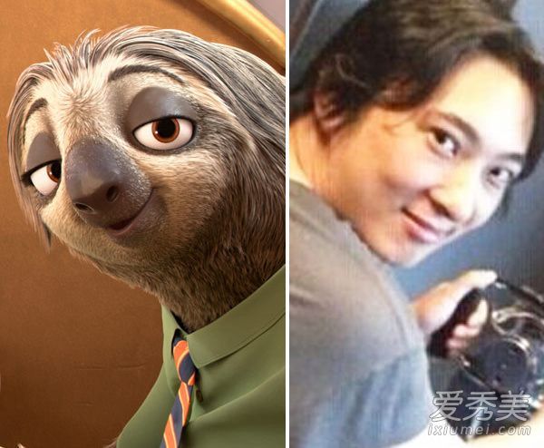 星星比王思聪更能快乐地面对动物