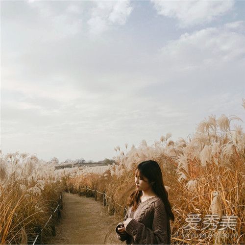 是展现美丽的时候了！当你在网上拍一张漂亮的照片时，请这样做。