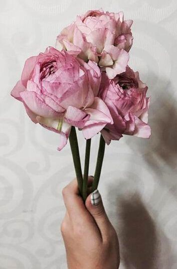 什么形状的指甲好看？推荐高品味美甲模板