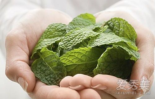如何制作薄荷面膜？薄荷面膜的功效和功能