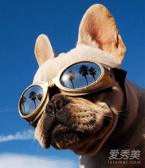 孩子们可以戴太阳镜吗?孩子们应该戴什么太阳镜