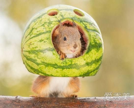 西瓜皮可以敷在脸上去除痘印吗？西瓜皮敷在脸上有什么作用