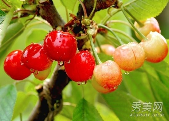 胡萝卜、樱桃和年轻的成熟女性必须吃美容水果和蔬菜