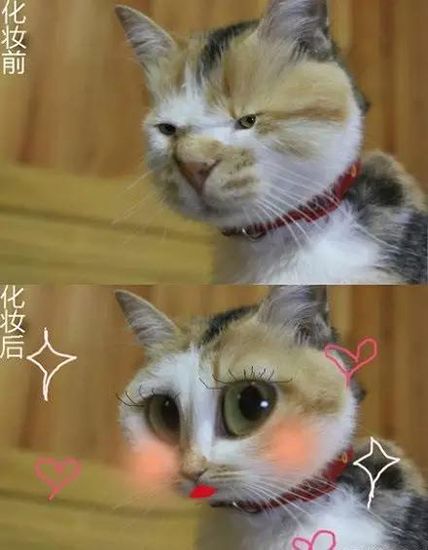 化妆后，亲家不能识别卸妆和毁容(照片)