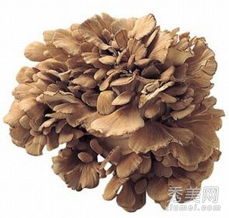 女性食用更多真菌美容4大真菌类别被遗漏