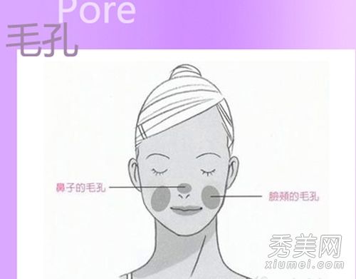 护肤技巧:如何处理脸颊、鼻子、黑头和毛孔粗大?