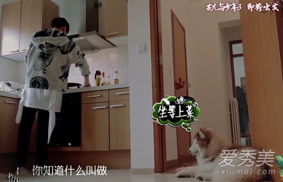 华尔和小张若昀的外套是什么牌子的?