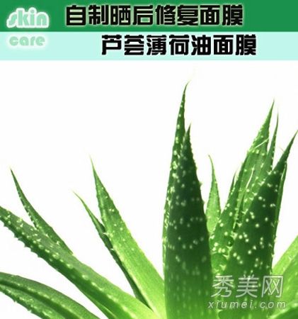 DIY低成本保湿面膜修复晒伤皮肤