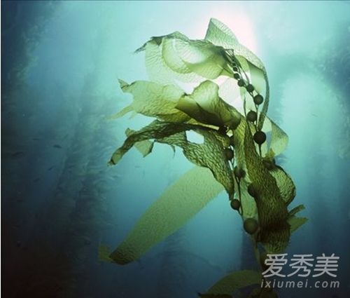 他们只需要几分钱，但他们可以获得成千上万条除皱经验。