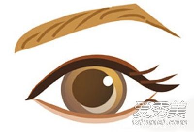 八步修眉+4种脸型眉毛不用化妆也不怕修眉毛。