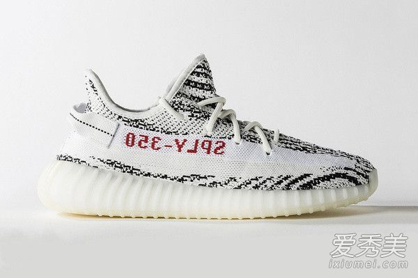 你今天买了“白色斑马”吗？欣赏近景