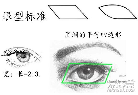 十颗男星展示:男性的最佳眼睛形状是什么？