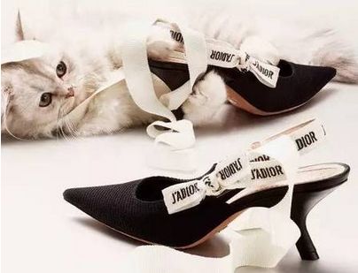 2017年最热的鞋子是什么?2017年春夏流行什么鞋?