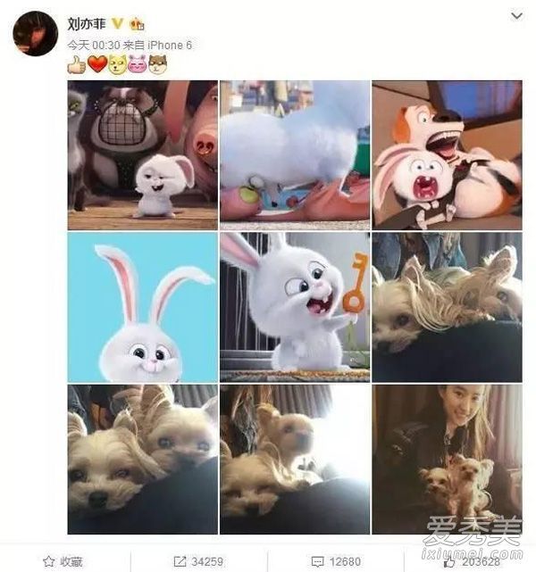 刘亦菲素净的脸比她的妆更漂亮。过来看看她朴素的脸。